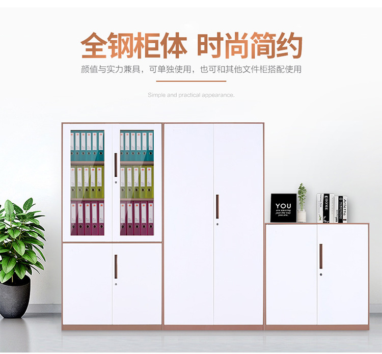 深圳鋼制文(wén)件櫃廠家,文(wén)件櫃廠家 鋼制鐵皮櫃辦(bàn)公(gōng)文(wén)件櫃加厚文(wén)件櫃 廠家定制